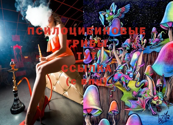 молекула духа Инта