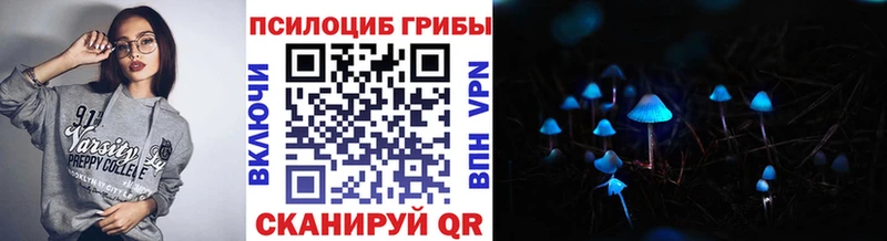 Галлюциногенные грибы Psilocybe  Купить где  Дербент 